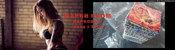 ПСИЛОЦИБИНОВЫЕ ГРИБЫ Слюдянка