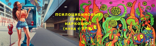 стафф Баксан