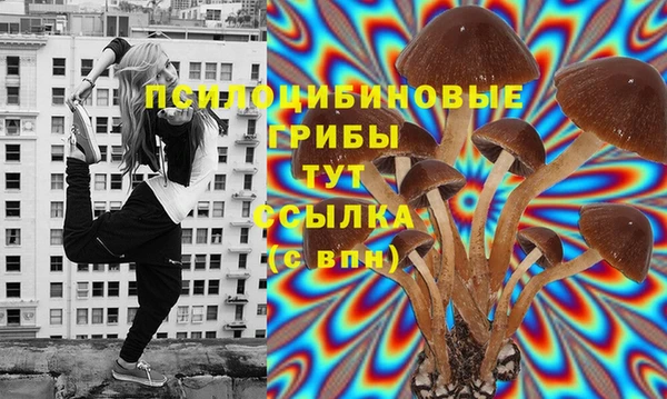 стафф Баксан