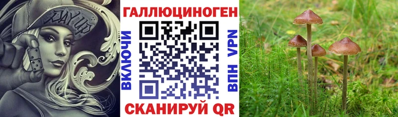 omg   Новая Ляля  Галлюциногенные грибы GOLDEN TEACHER  сколько стоит 